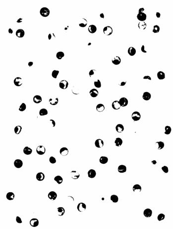 Dots 4